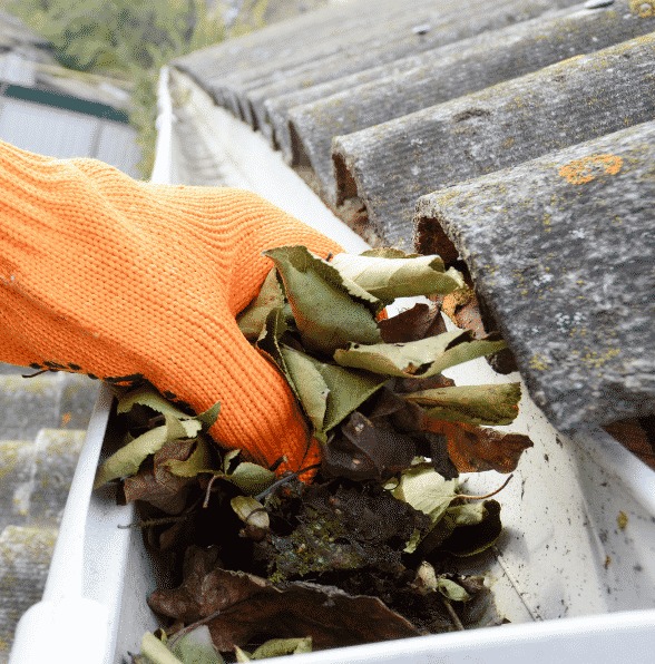 gutter cleaning